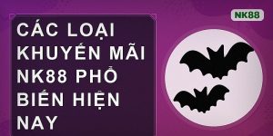 Các loại khuyến mãi nk88 phổ biến hiện nay